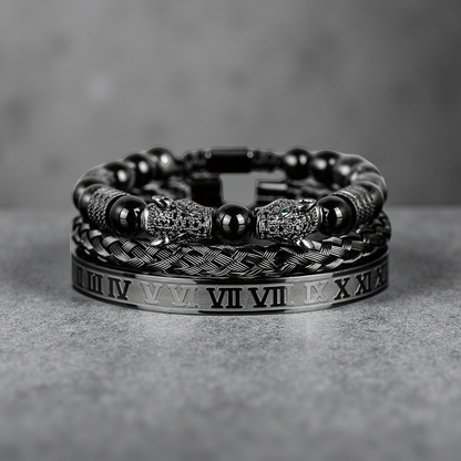 The Five Elements Series TAOÉ Gothic Black Panther Braid + Silver Steel Numeral Bracelet Set-Metal features a braided black panther bracelet, a sleek silver Roman numeral cuff, and other bold designs on a gray surface.